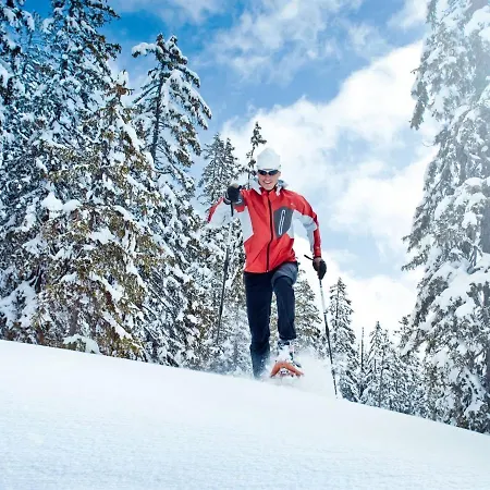 Modern Chalet With Sauna